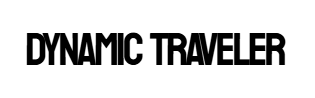 Dynamic Traveler
